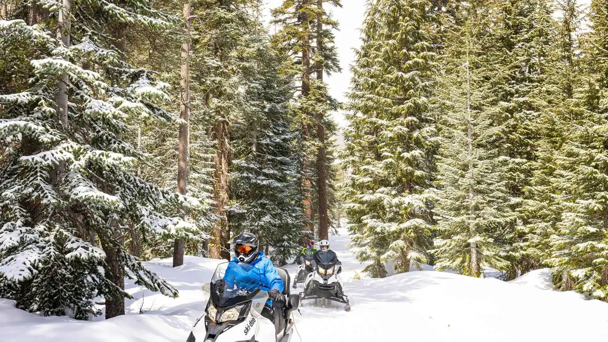 Riders on guided snowmobiles crossing a snowy Hope Valley meadow on a Lake Tahoe snowmobile tour